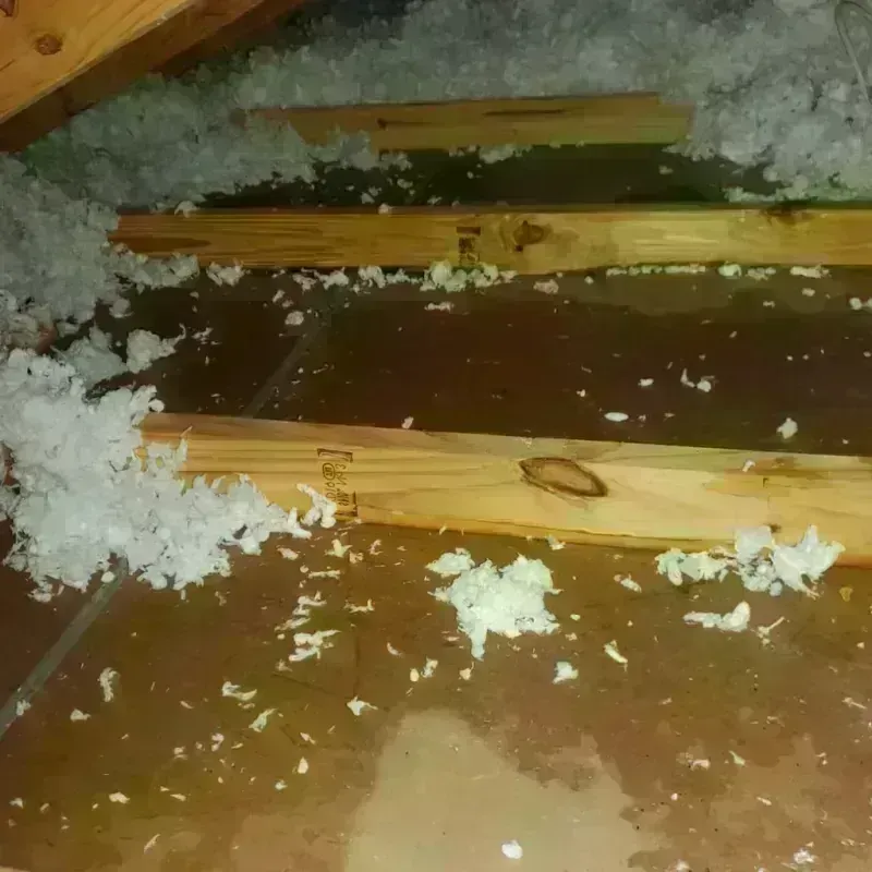 Attic Water Damage in Trinity, TX