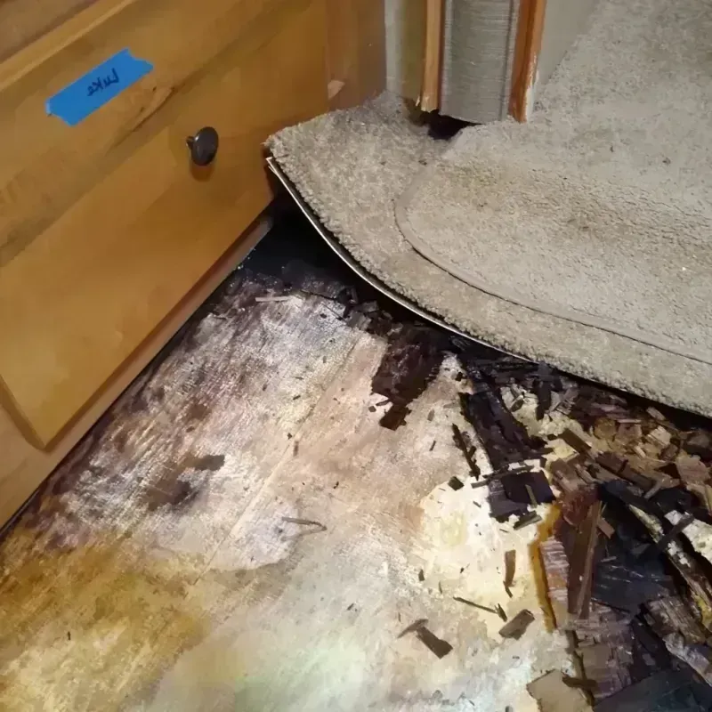 Best Wood Floor Water Damage Service in Trinity, TX